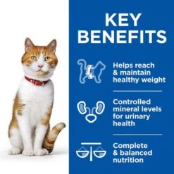 Hill's Science Plan Adult Sterilised Healthy Cuisine With Chicken & Salmon -Zooplus Shop sp healthy cuisine thumbnails cat young adult sterilised benefits 9