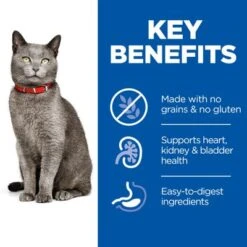 Hill's Science Plan Hill’s Science Plan Mature Adult 7+ No Grain With Chicken -Zooplus Shop sp no grain cat ma chicken key benefits 4