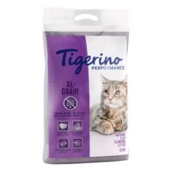 Tigerino Performance Cat Litter - Special Price!* -Zooplus Shop tigerino performance grain 12kg 1000x1000 6 1