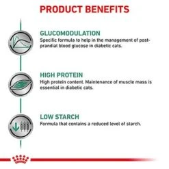 Royal Canin Veterinary - Diabetic DS 46 14 Royal Canin Veterinary - Diabetic DS 46 -Zooplus Shop vhn diabetic cat dry b1 mv5 med res basic 5