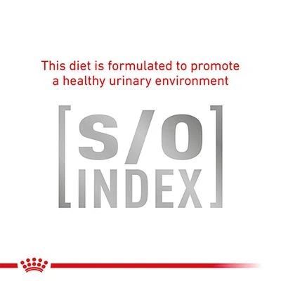 Royal Canin Veterinary - Diabetic DS 46 8 Royal Canin Veterinary - Diabetic DS 46 - Image 6