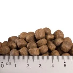 Feringa Adult Fish -Zooplus Shop x008 0